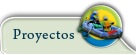 Proyectos