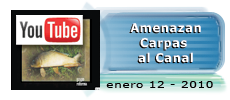 Enero 12