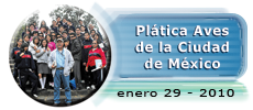 Enero 29