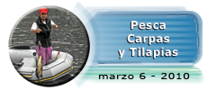 Marzo 06